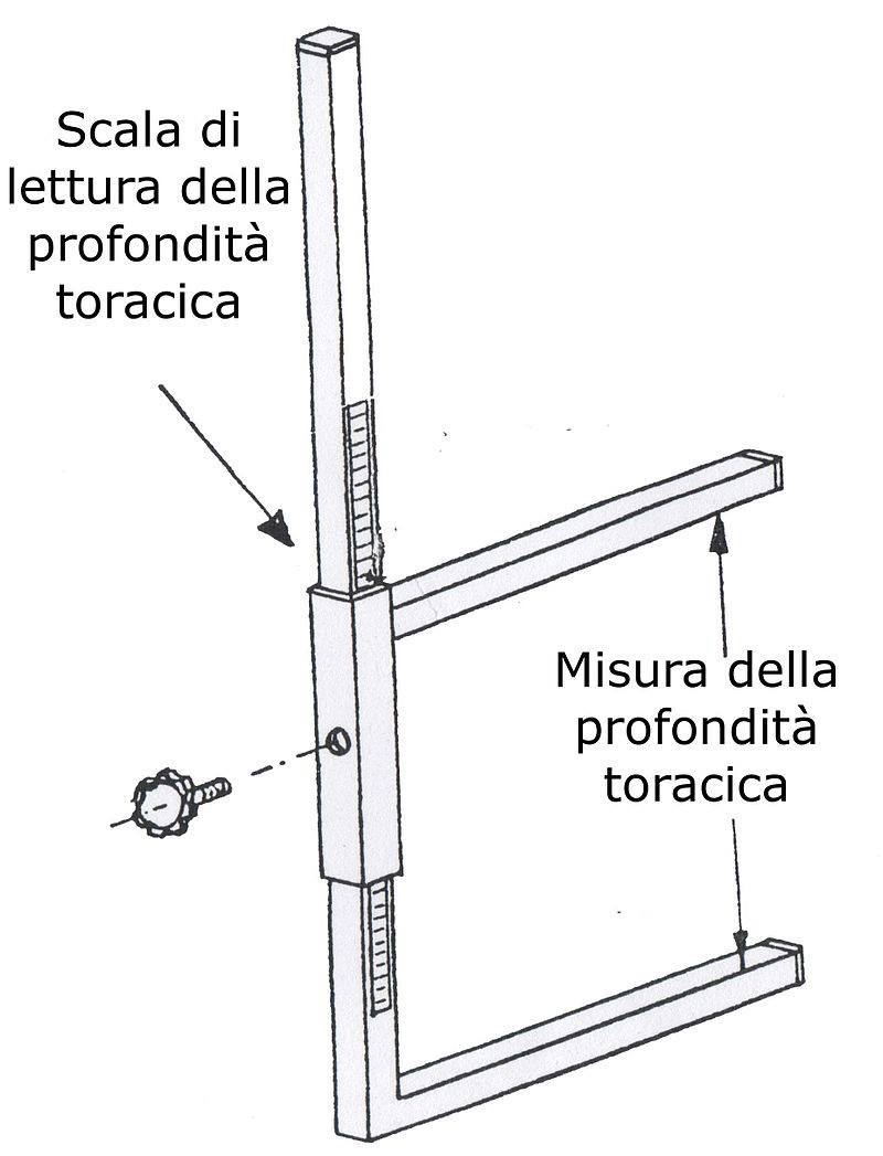 Cinomentro per la misurazione del torace 