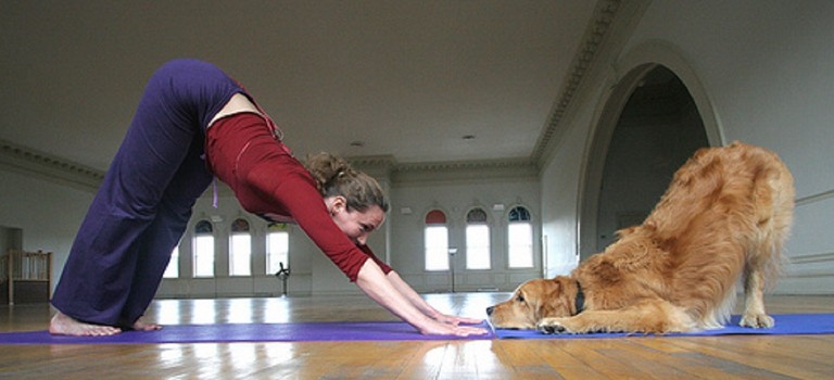 Posizione yoga adho mukha svanasana con cane