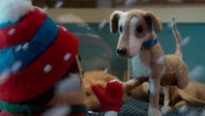 Il nuovo spot Petco: fare la differenza per un animale, si può!