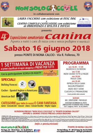 Sabato 16 giugno al Ponte di Nona la 4a esposizione canina amatoriale