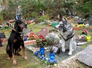 Liguria - Animali e padroni potranno essere seppelliti insieme