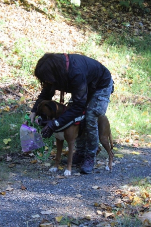 Daniela ed Elvira: grazie al mantrailing si divertono e aiutano gli animali scomparsi