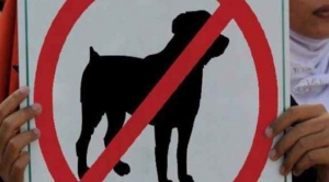 Manchester: Cani impuri, vietato l&#039;accesso nei luoghi pubblici