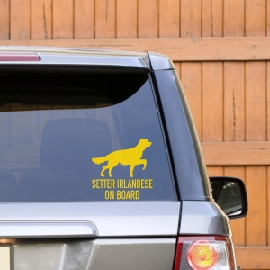 Trasporto dei cani da caccia in auto: cosa dice la legge