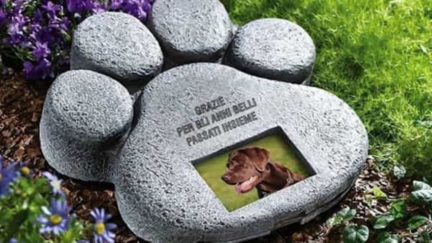 Cimiteri per cani e gatti nel Lazio: primo sì alla legge regionale