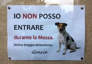 I cani possono entrare in chiesa? Cosa dice la legge