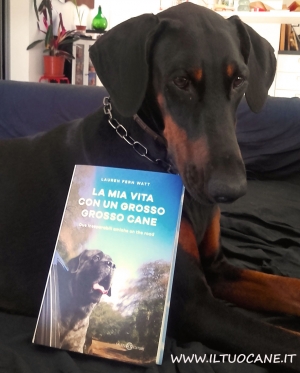 I migliori libri da regalare a chi ama i cani