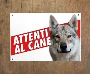 Allarme lupi in Trentino, ma sono cani lupo cecoslovacchi