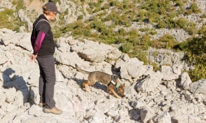 In Croazia i cani-archeologi scoprono tombe di tremila anni fa