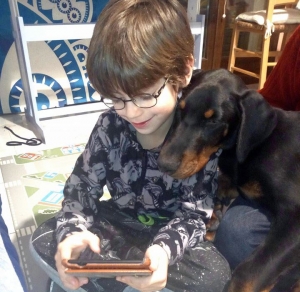 Vivere con un cucciolo di Dobermann: costruzione di un amore