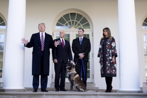 Premiato da Trump il cane che ha catturato il capo dell&#039;Isis