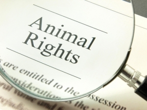La Dichiarazione Universale dei Diritti degli Animali