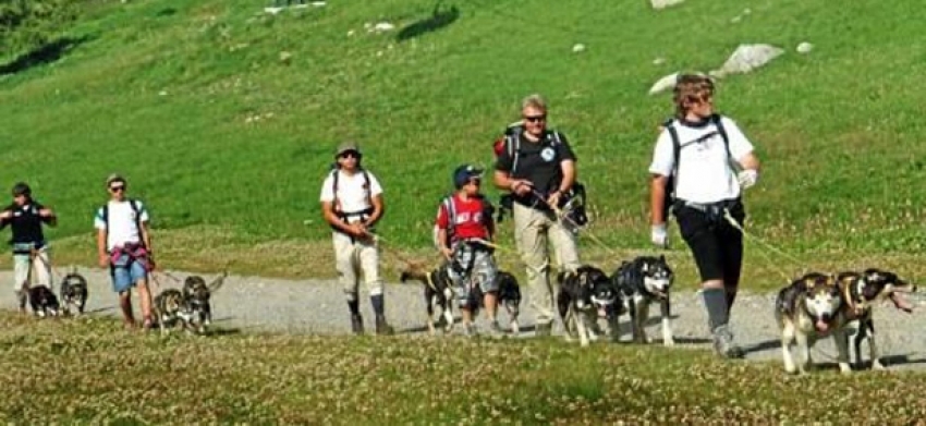 Sport Cinofili - Dog trekking