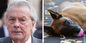 Alain Delon vorrebbe far morire il proprio cane insieme a lui: è subito polemica