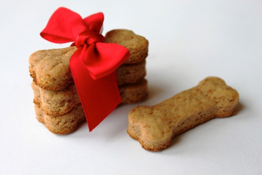 Natale - Biscotti per cani fai da te, ecco alcune ricette