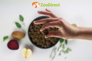 ZOODIRECT: IL NUOVO BRAND DI PETFOOD CHE RIVOLUZIONA LA DIETA BARF