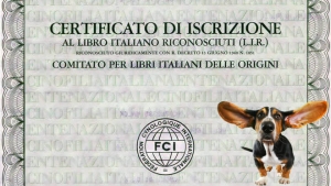 Vivere con un cucciolo di Dobermann: i pedigree fantasma