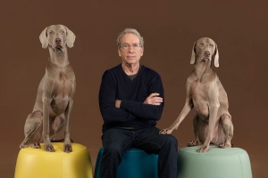 Lugano - William Wegman mostra i suoi Weimaraner