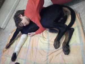 Vivere con un cucciolo di Dobermann: Incastri