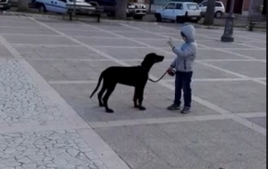 Vivere con un cucciolo di Dobermann: esercizi all&#039;esterno!