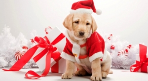 Natale: cosa regalare agli amanti dei cani? Ecco qualche idea!